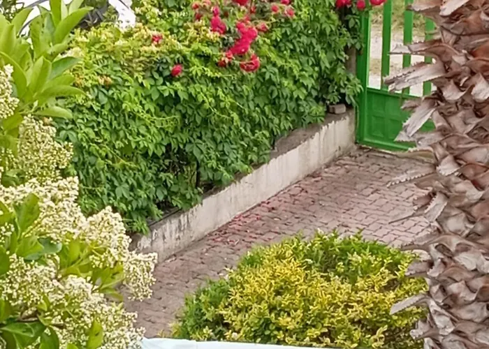 Affittacamere A-vila Golem (Tirana)