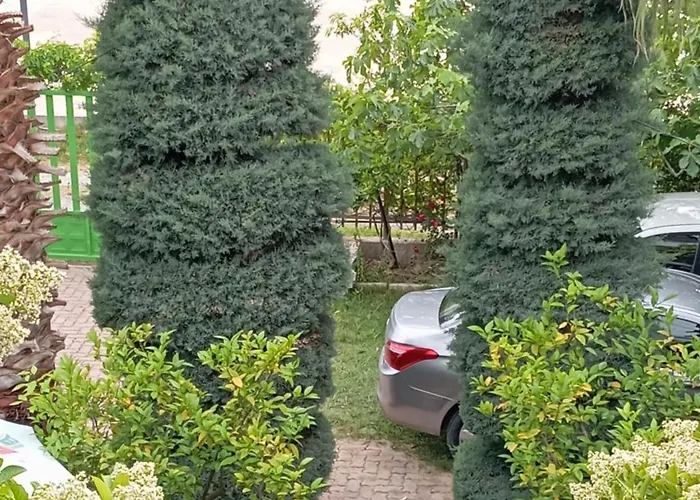 A-vila Affittacamere