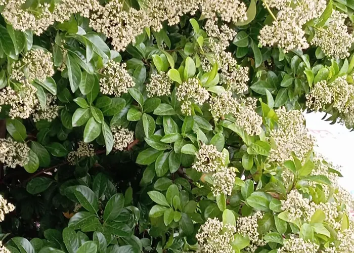 Affittacamere A-vila