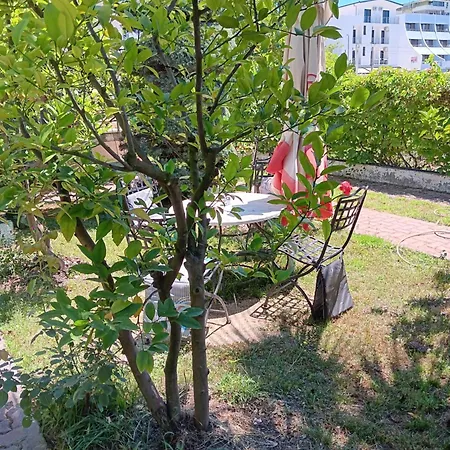 A-vila Konukevi