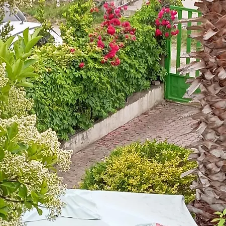 Pensjonat A-vila Golem (Tirana)